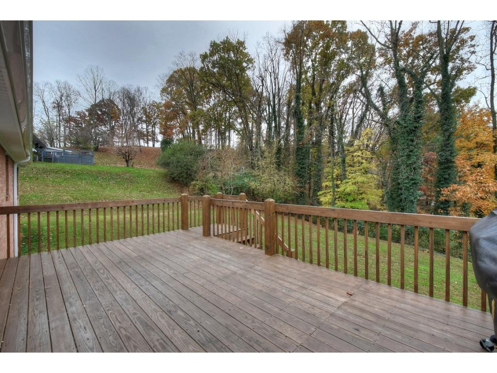 202 Ridgecrest Drive Elizabethton, TN 37643 - Photo 31 of 36 Photo 31