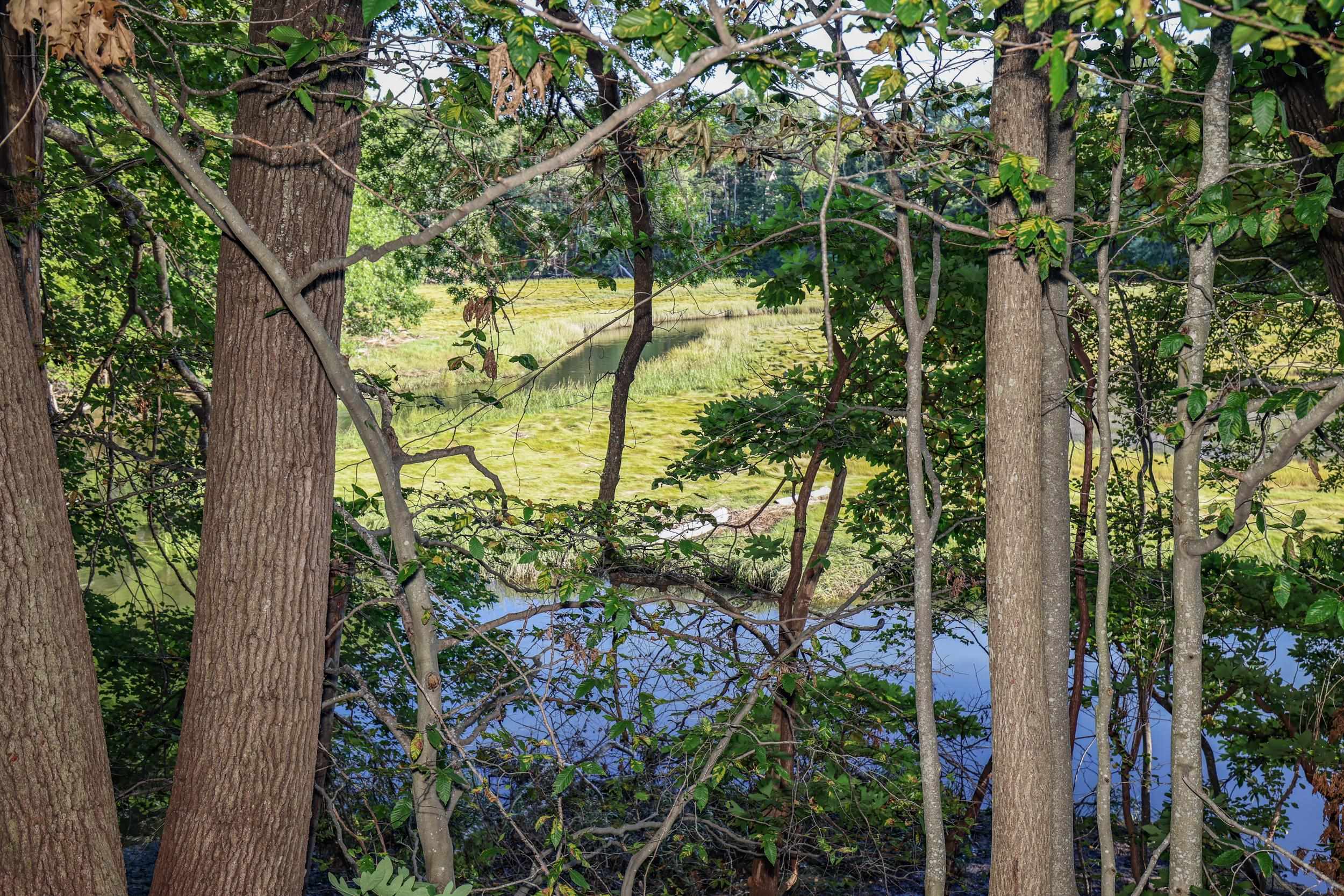 29 Depot Road Hampton Falls, NH 03844 - Photo 31 of 39 Gallery Image 31