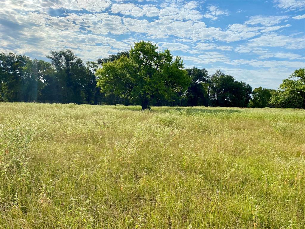 2506 VZ County Road Canton, TX 75103 - Photo 12 of 15 a view of outdoor space and yard