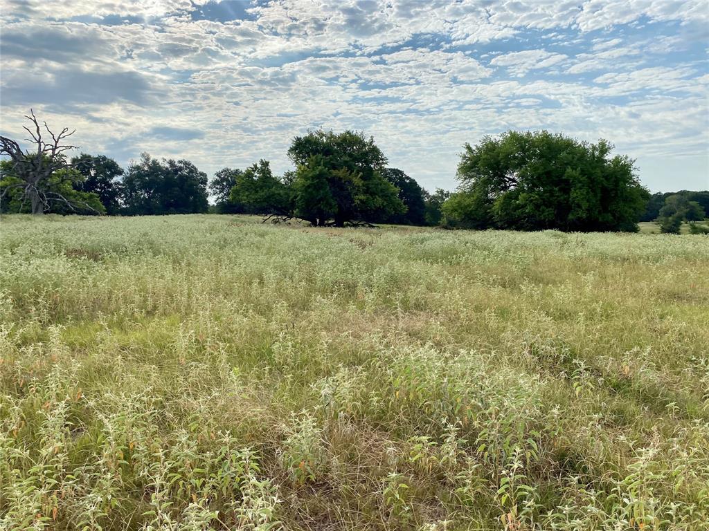 2506 VZ County Road Canton, TX 75103 - Photo 14 of 15 a view of outdoor space and yard