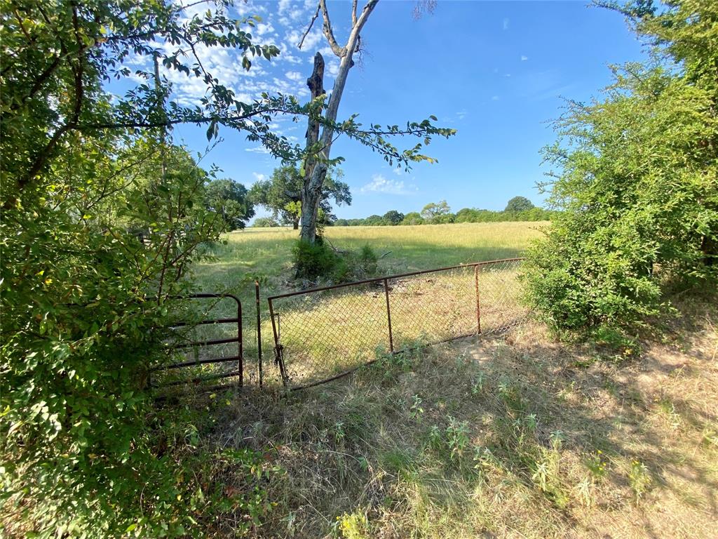 2506 VZ County Road Canton, TX 75103 - Photo 9 of 15 a view of a lake from a yard
