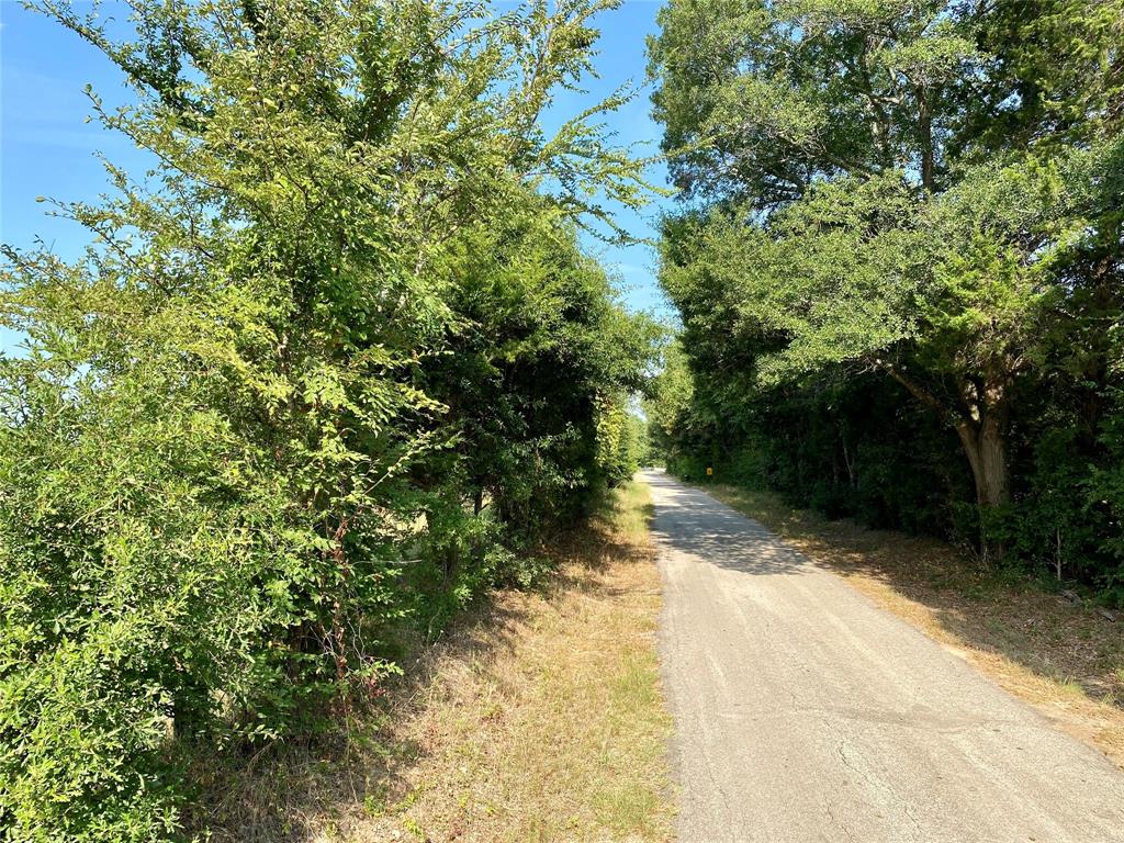 2506 VZ County Road Canton, TX 75103 - Photo 10 of 15 a view of a yard with plants and trees