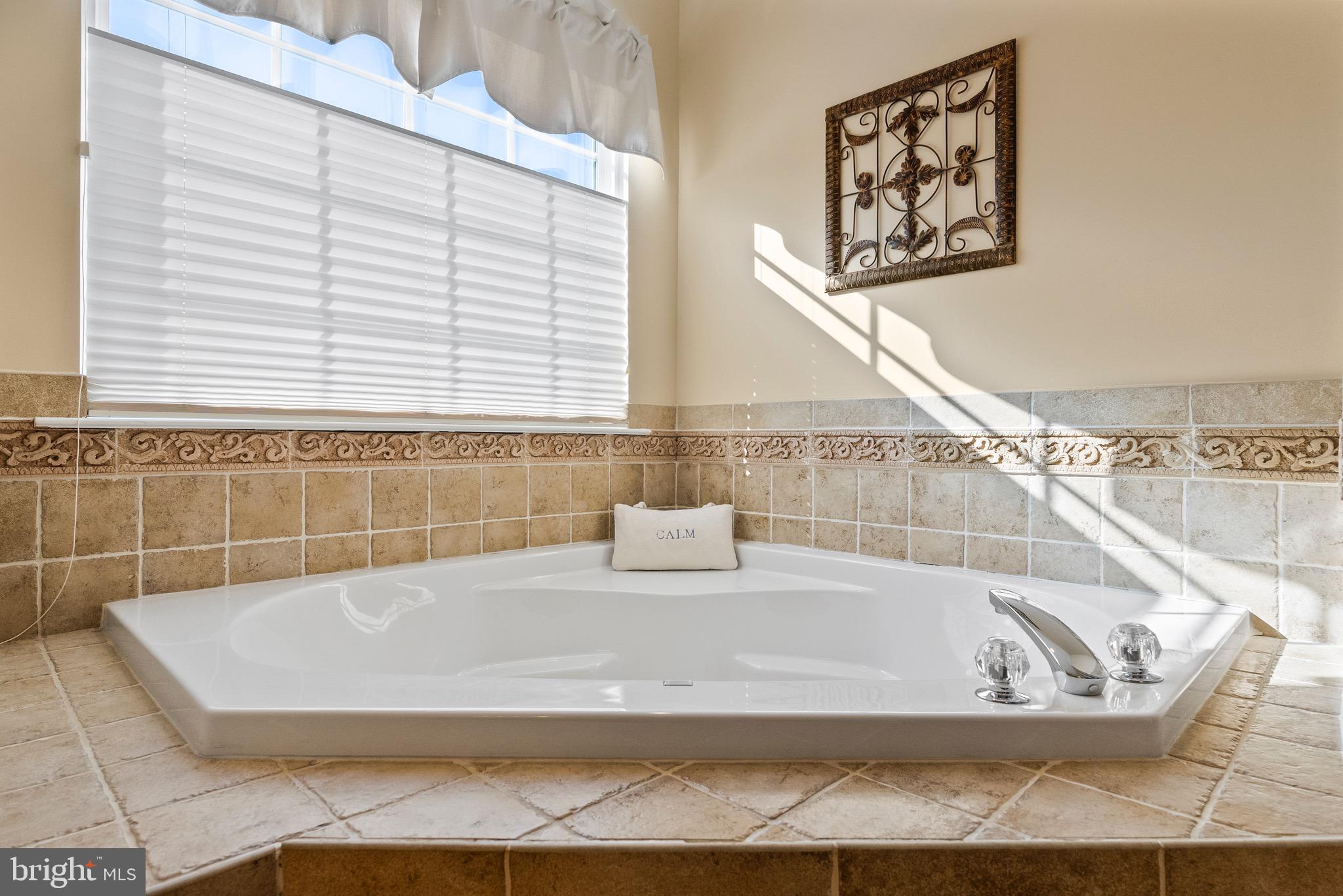 10 Laurel Wood Court Laurel Springs, NJ 08021 - Photo 37 of 63 Master Bathroom