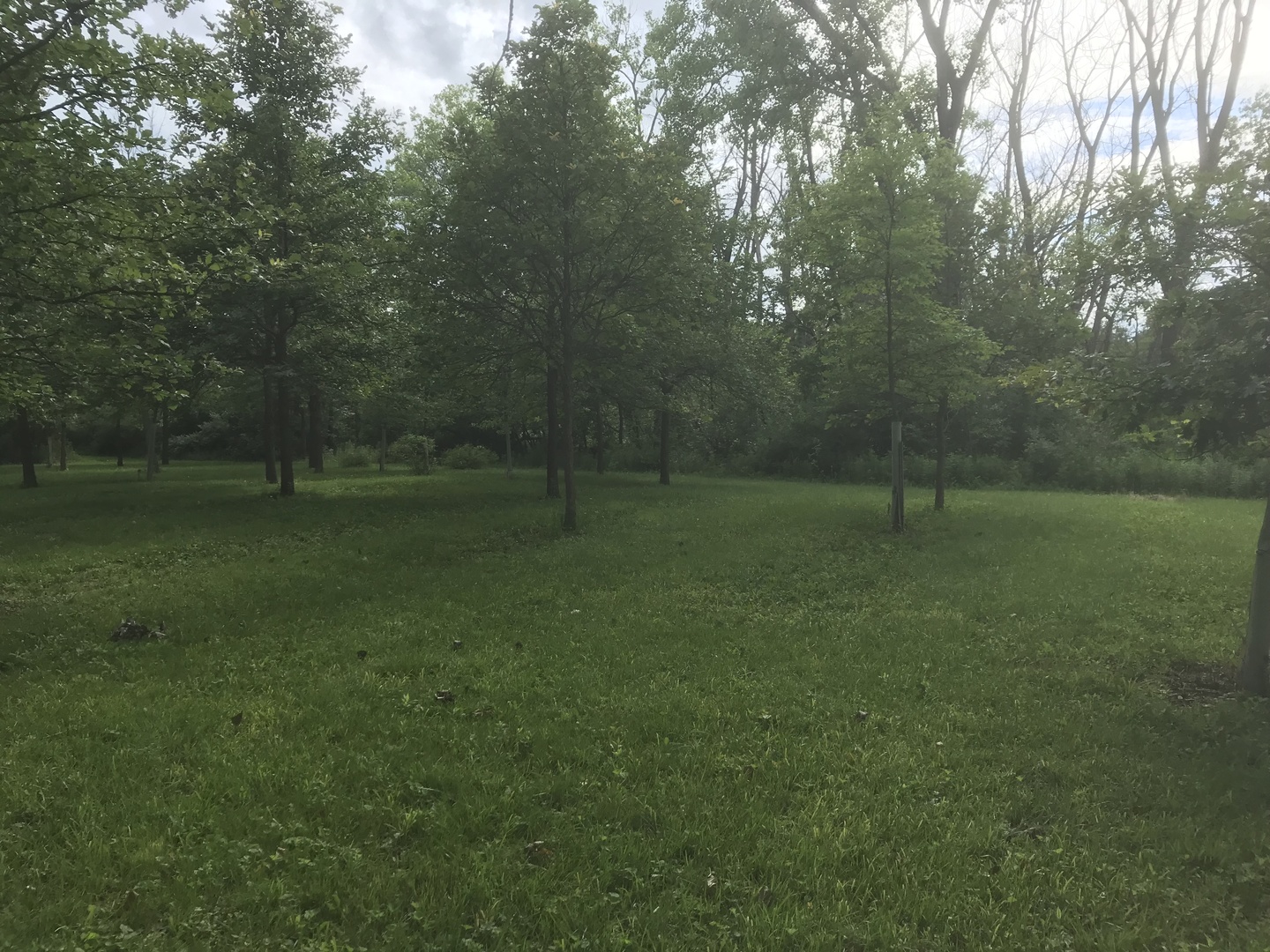 0 South Cottage Grove Avenue Crete, IL 60417 - Photo 2 of 27 a view of outdoor space with deck and yard