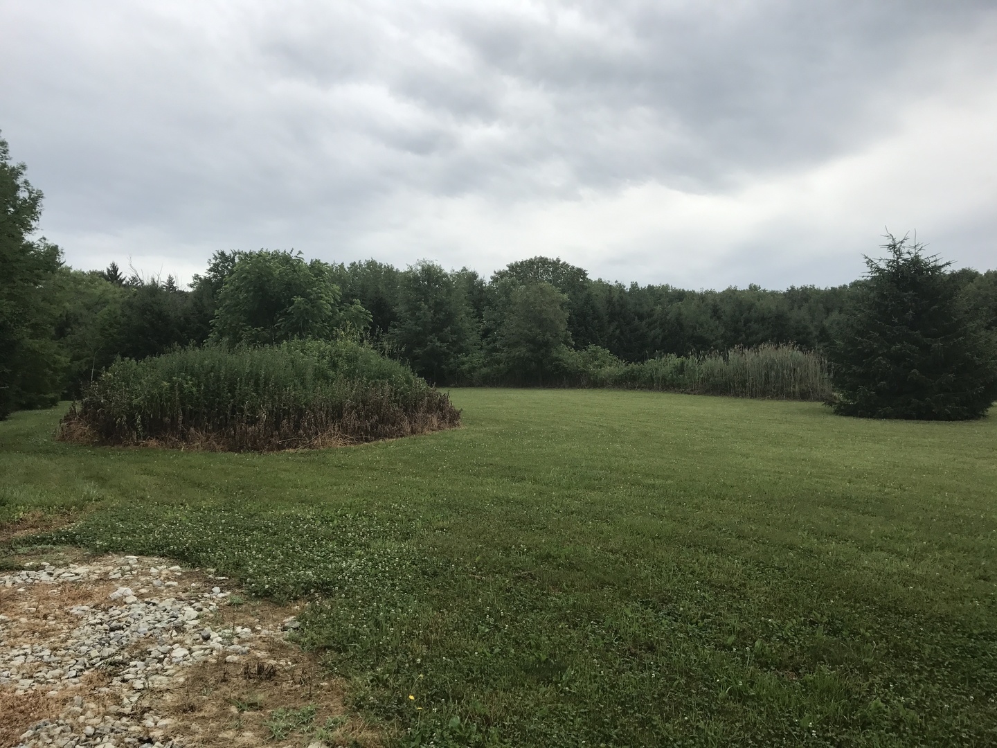 0 South Cottage Grove Avenue Crete, IL 60417 - Photo 15 of 27 a view of a field of grass and trees