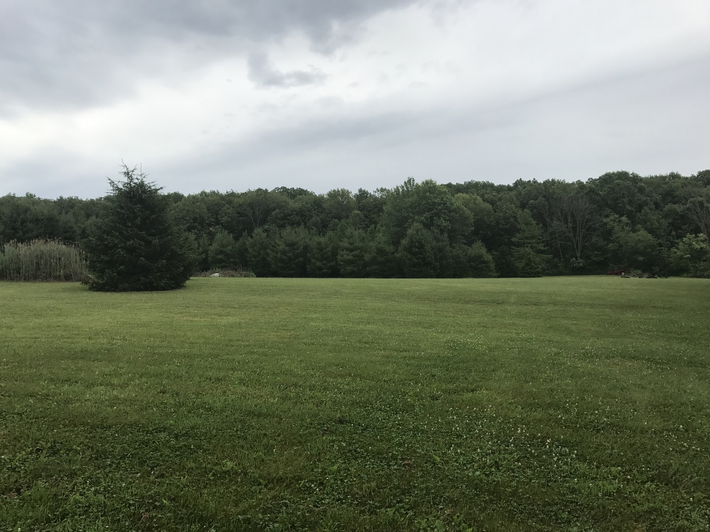 0 South Cottage Grove Avenue Crete, IL 60417 - Photo 16 of 27 a view of a field with an trees in the background