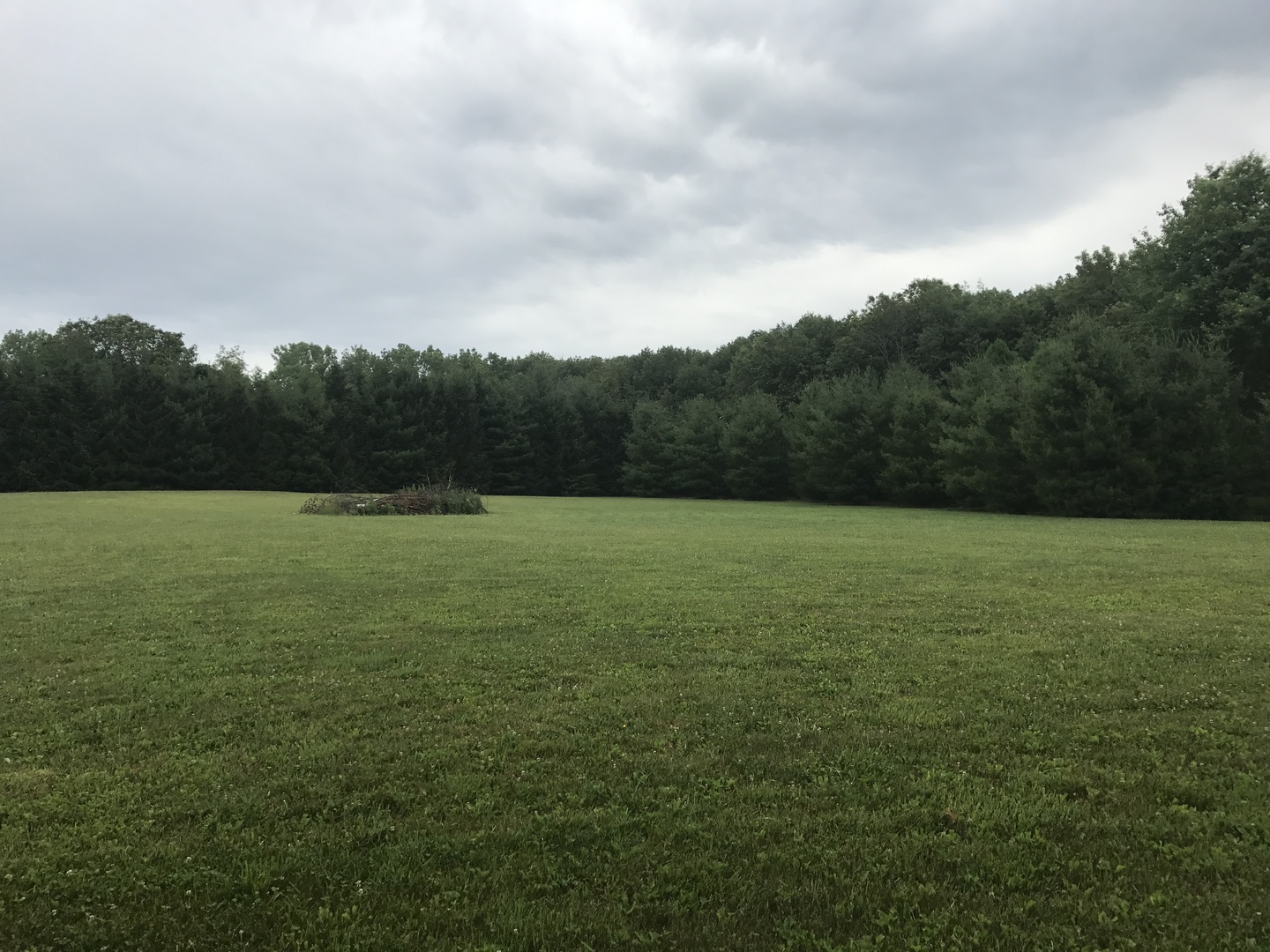 0 South Cottage Grove Avenue Crete, IL 60417 - Photo 19 of 27 a view of a field with an outdoor space
