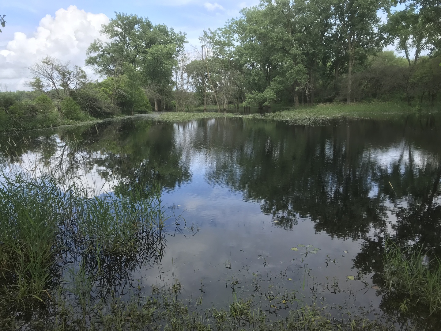 0 South Cottage Grove Avenue Crete, IL 60417 - Photo 3 of 27 a view of a lake with a forest