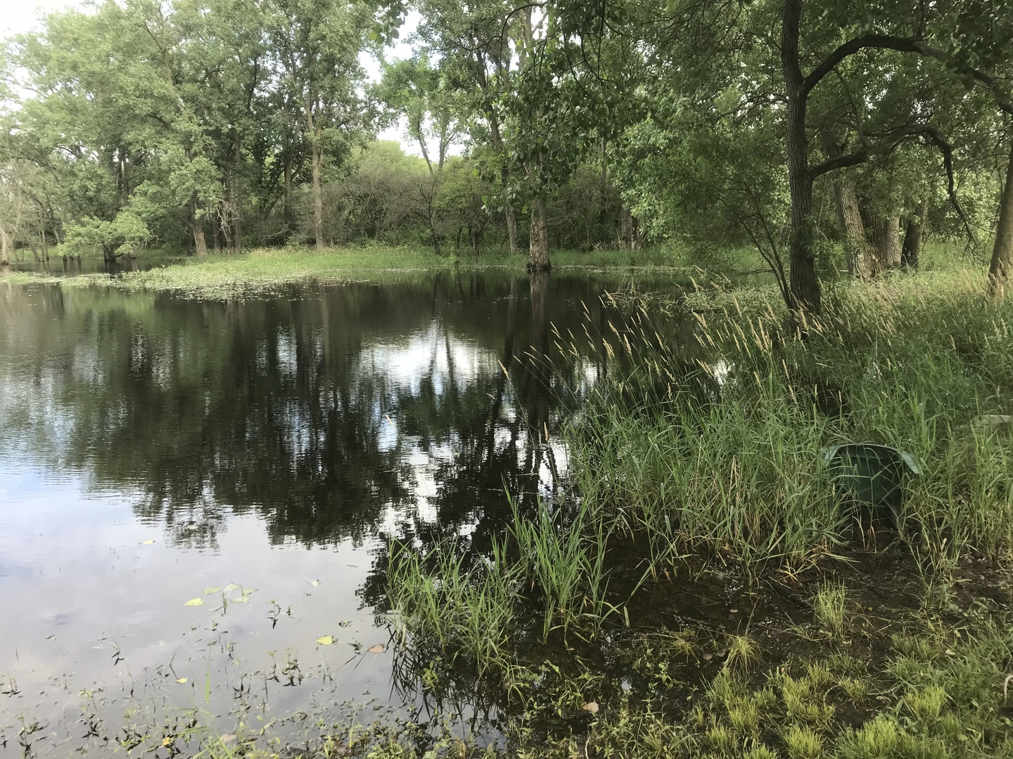 0 South Cottage Grove Avenue Crete, IL 60417 - Photo 4 of 27 a view of lake