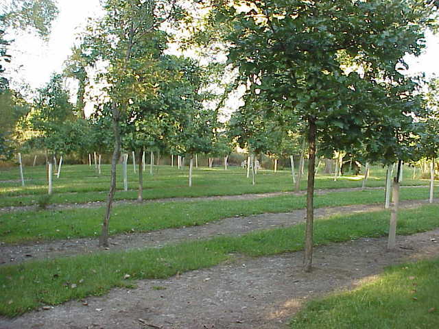 0 South Cottage Grove Avenue Crete, IL 60417 - Photo 7 of 27 a view of a park