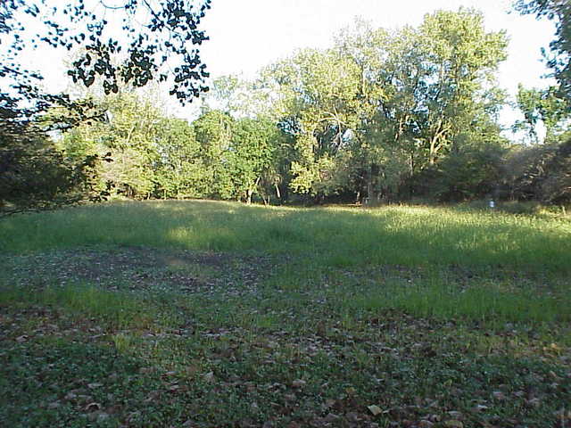 0 South Cottage Grove Avenue Crete, IL 60417 - Photo 8 of 27 a view of outdoor space and yard