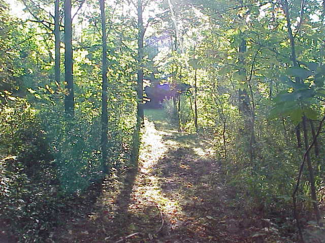 0 South Cottage Grove Avenue Crete, IL 60417 - Photo 9 of 27 a view of a tree in a yard