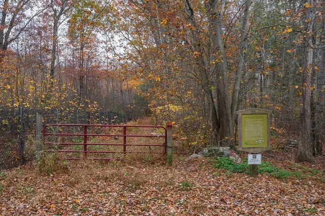 a view of a bench in a garden