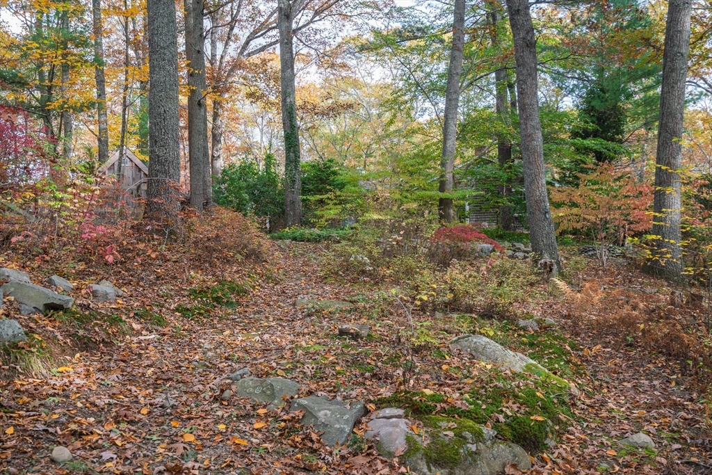 154 Fairview Avenue Rehoboth, MA 02769 - Photo 9 of 25 a view of a forest that has large trees