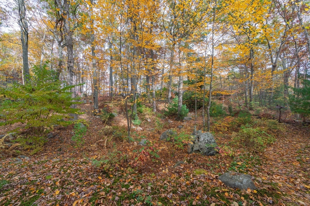 154 Fairview Avenue Rehoboth, MA 02769 - Photo 10 of 25 a view of a lush green forest