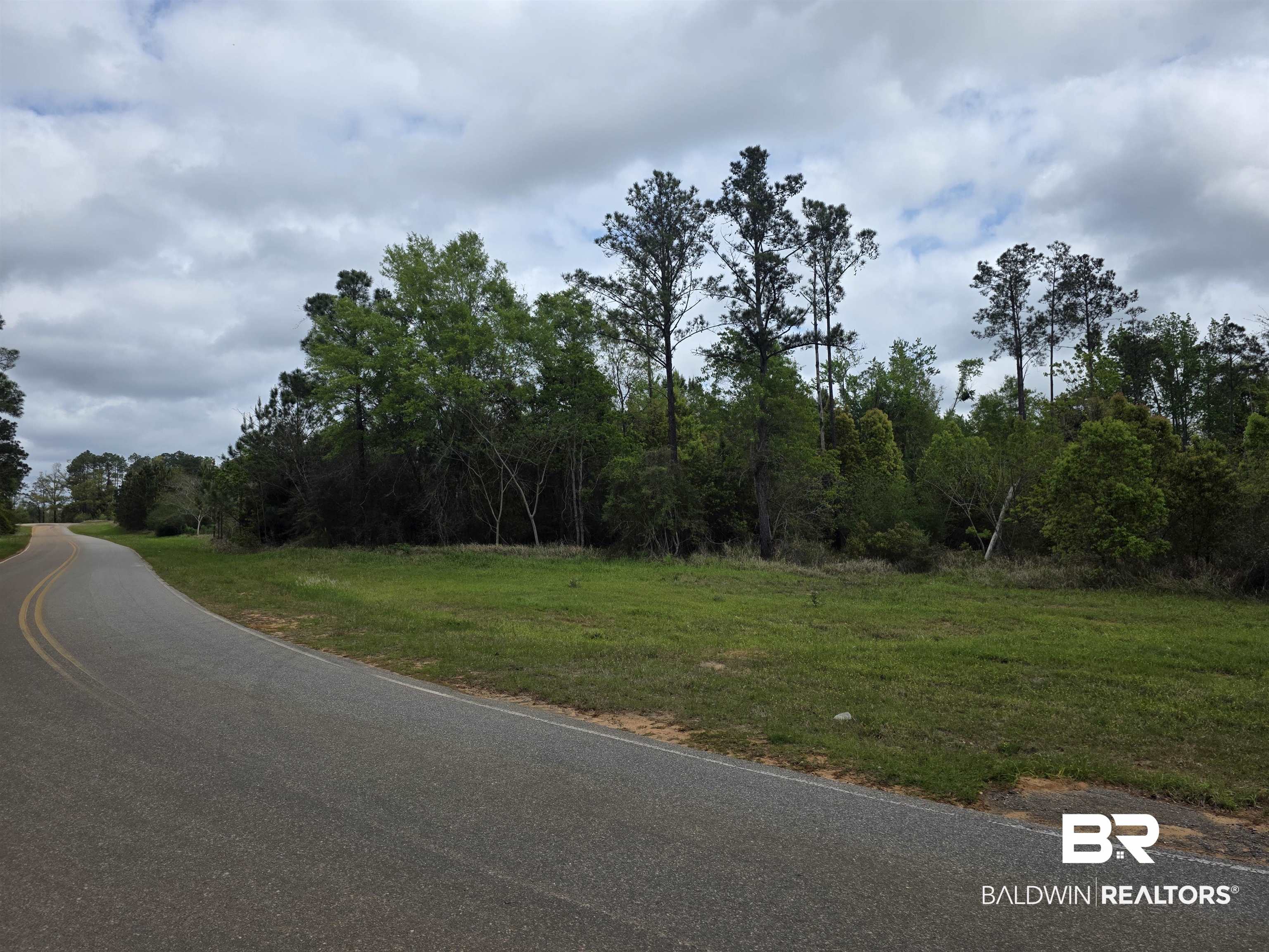 11631 Red Hill Rd Extension Bay Minette, AL 36507 - Photo 8 of 18 View of asphalt road