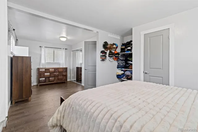 a bedroom with a bed and a closet