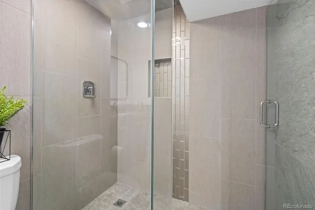 a bathroom with a shower and a toilet
