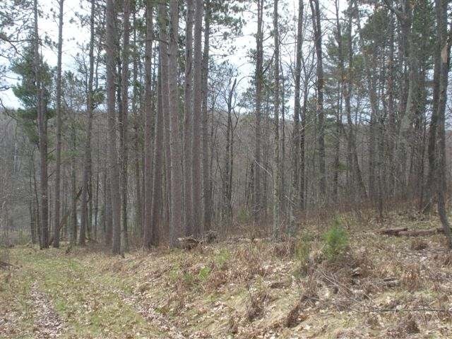 4895 Lakewood Road Harshaw, WI 54529 - Photo 13 of 18 Gallery Image 13