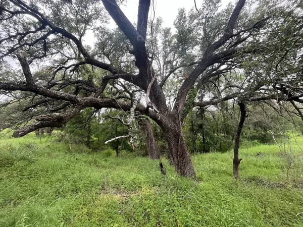 a backyard of a house with lots of green space and chair