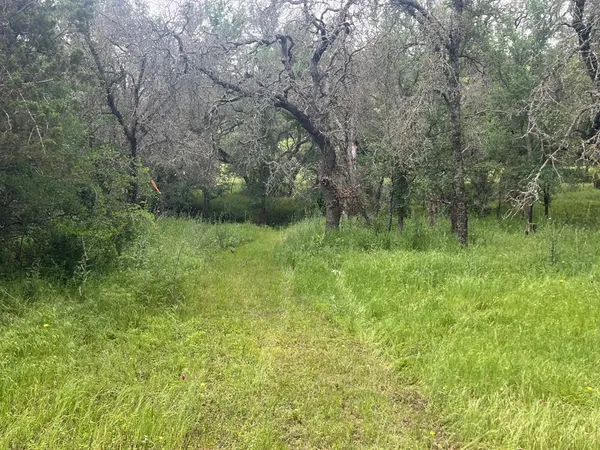 a view of a lush green outdoor space with a lake view