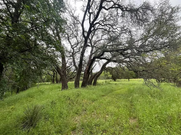 a big yard with lots of green space and deers