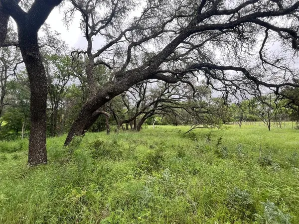 a view of backyard with green space