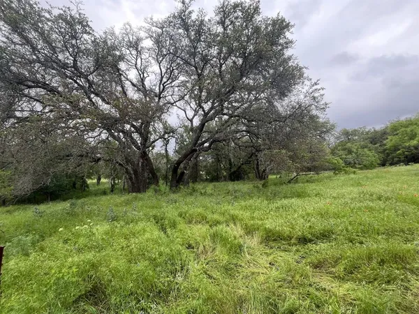 a view of a grassy field with trees in the background