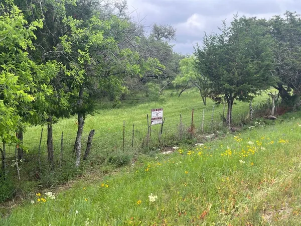 a big yard with lots of green space and trees