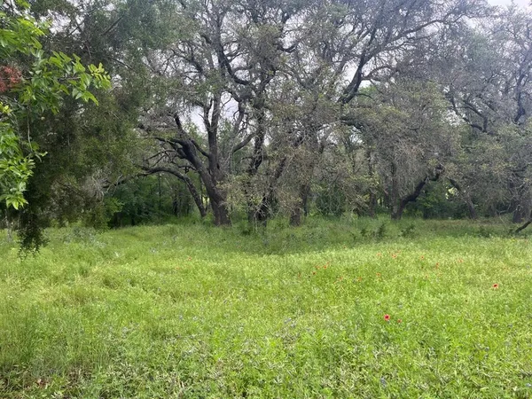 a big yard with lots of green space and deers