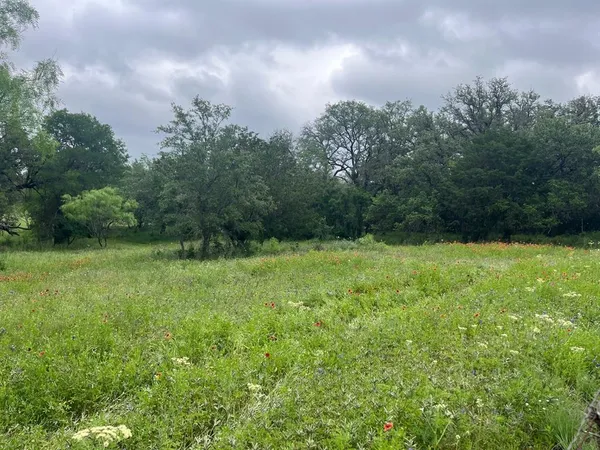 a view of an outdoor space and a yard