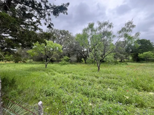 a view of a green field with trees