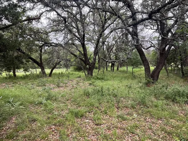 a view of outdoor space with large trees