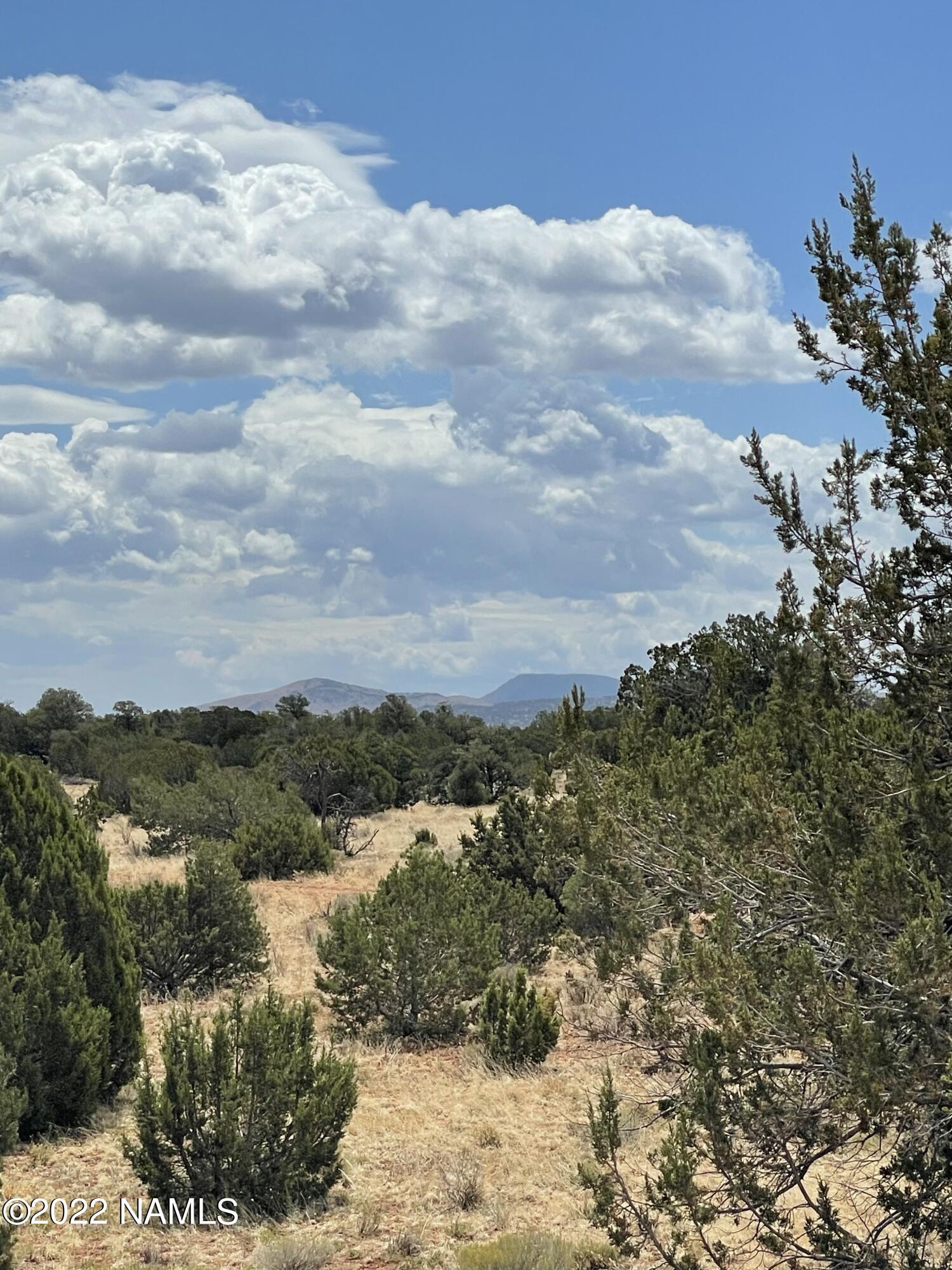4119 East Valencia Road, Unit 347 Williams, AZ 86046 - Photo 21 of 25 IMG_1005