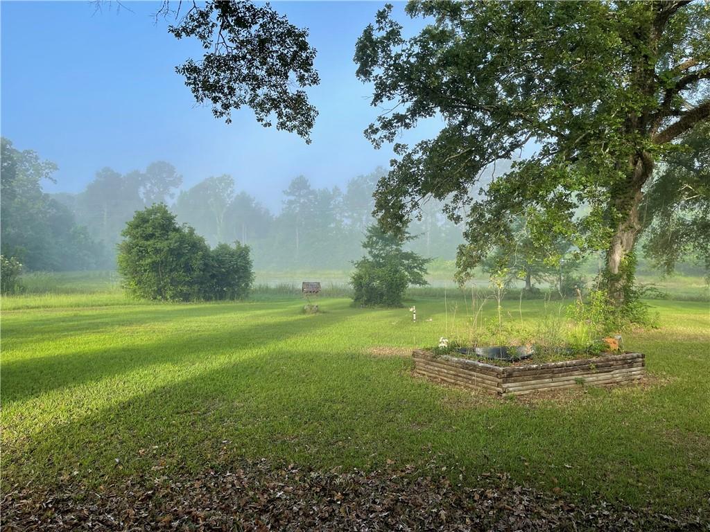 98 Borland Road Deville, LA 71328 - Photo 5 of 35