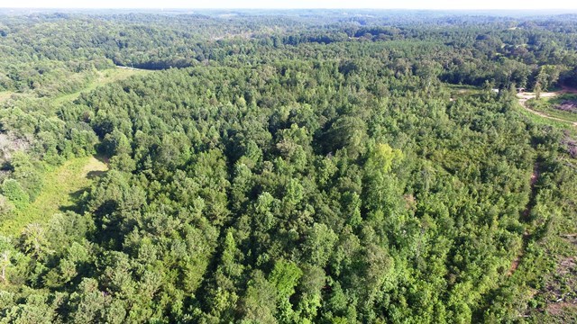 0 Walker Road Pendleton, SC 29670 - Photo 5 of 5 Gallery Image 5