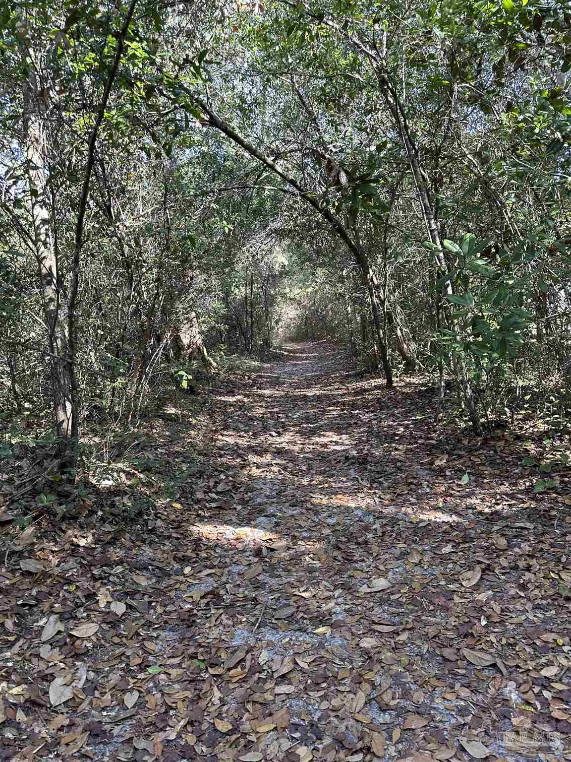 10152 Bittern Drive Pensacola, FL 32507 - Photo 45 of 45 a view of a yard with a tree