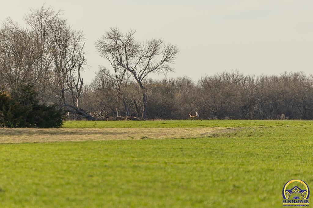 16413 Southwest Arkansas Road Westphalia, KS 66093 - Photo 53 of 66 Gallery Image 53