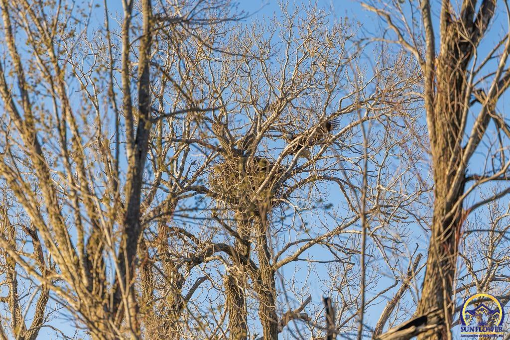 16413 Southwest Arkansas Road Westphalia, KS 66093 - Photo 55 of 66 Gallery Image 55