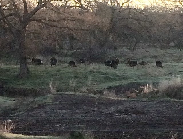 1261 Park Road Lampasas, TX 76550 - Photo 18 of 40