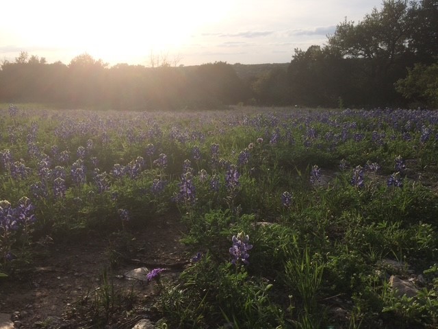 1261 Park Road Lampasas, TX 76550 - Photo 19 of 40