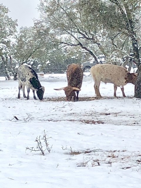 1261 Park Road Lampasas, TX 76550 - Photo 21 of 40