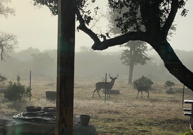 1261 Park Road Lampasas, TX 76550 - Photo 22 of 40