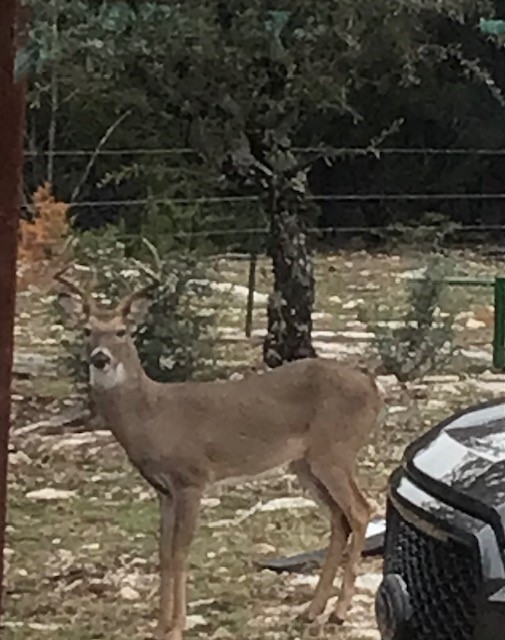 1261 Park Road Lampasas, TX 76550 - Photo 23 of 40
