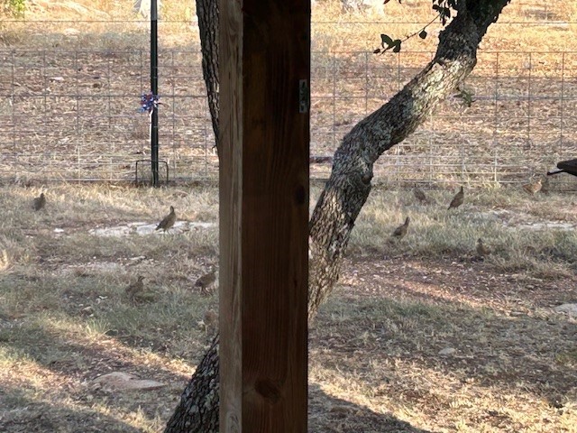 1261 Park Road Lampasas, TX 76550 - Photo 24 of 40