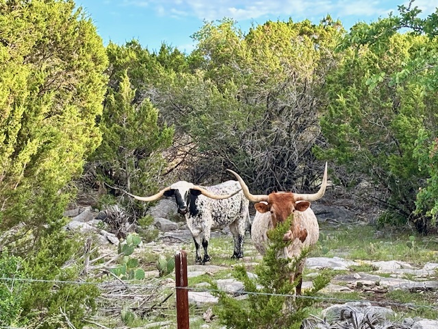 1261 Park Road Lampasas, TX 76550 - Photo 28 of 40 Exterior view