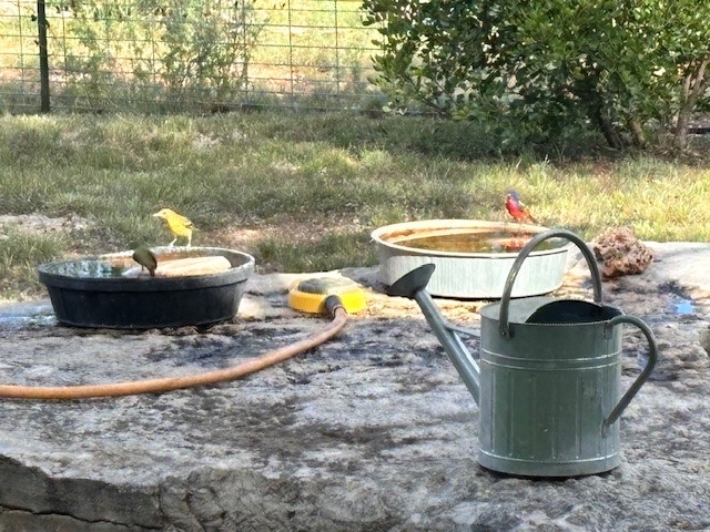 1261 Park Road Lampasas, TX 76550 - Photo 33 of 40 View of yard