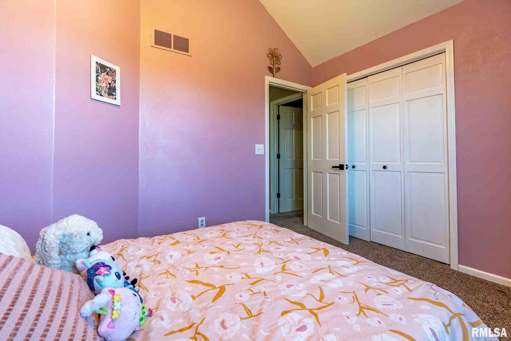 9822 Indian Ridge Court Edwards, IL 61528 - Photo 30 of 57 Gallery Image 30