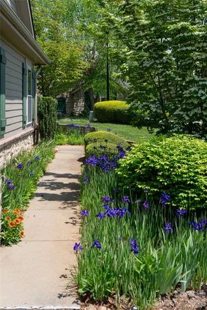 a view of a garden with flowers and trees