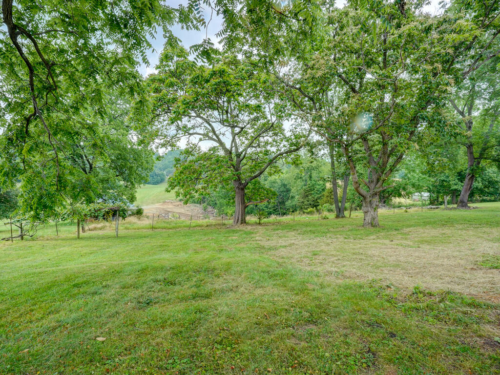 1488 Southside Road Elizabethton, TN 37643 - Photo 13 of 47 1488 Southside Rd MLS013
